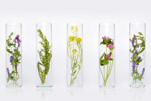 product-natural-cosmetics-organic