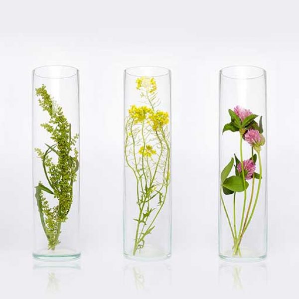 product-natural-cosmetics-organic